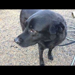 Meet your Posher, Aaron